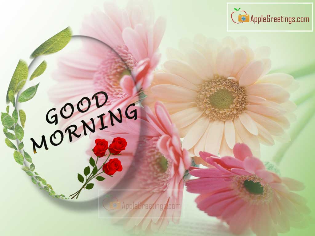 Beautiful Greetings Images For Good Morning Best Wishes (Images No : J-420-1)