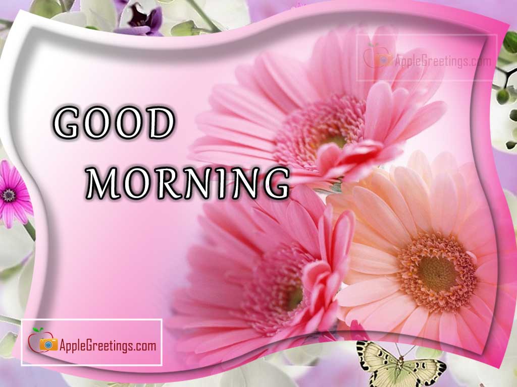 Best Wishing Greetings Images For Wishing Good Morning To All (Image No : J-425-2)