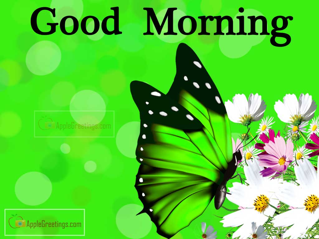 Greetings With Good Morning Wishes For Wish Friends And Family (Image No : T-87-2)