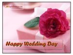 Beautiful Wedding Wishes Pictures (J-663-2)