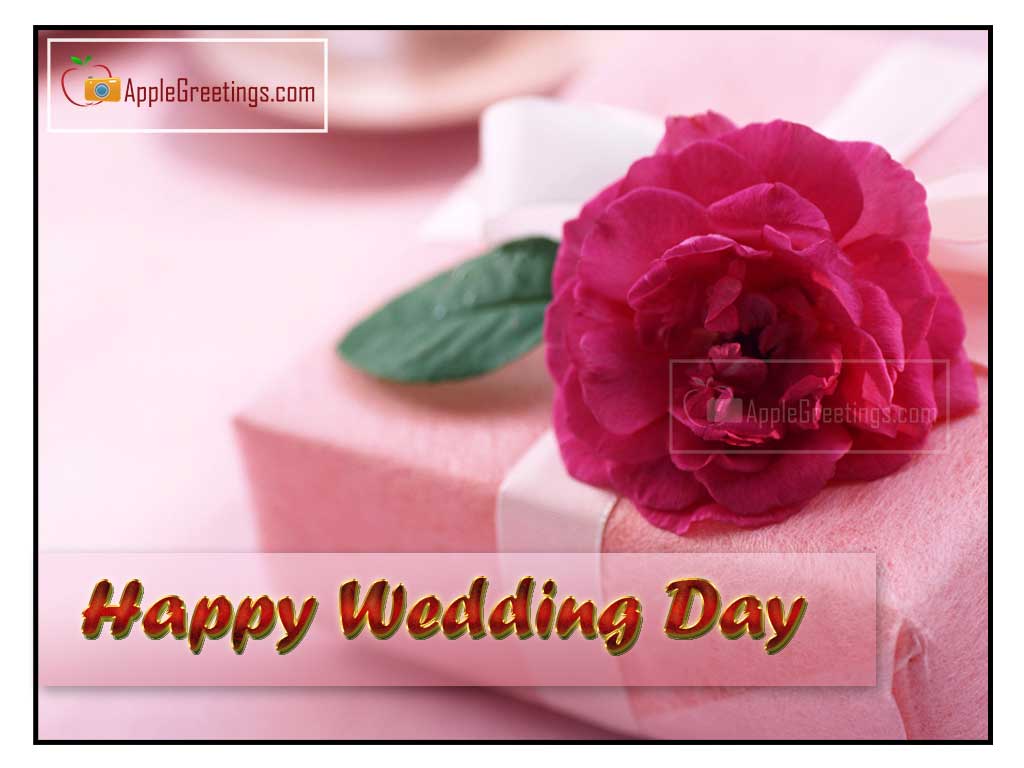Beautiful Wedding Wishes Pictures (J-663-2) (ID=1955 ...