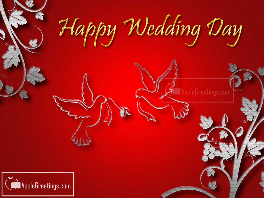 Super Greetings For Wedding Anniversary Day Best Wishes Sharing In Facebook (Image No : J-665-2)