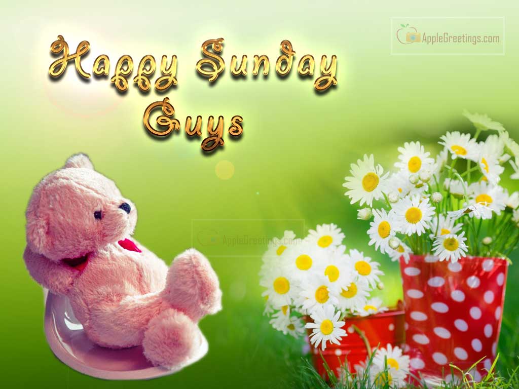 Teddy Bear And Flower Bouquet Pictures With Happy Sunday Wishes Text For Fb Share