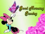 Happy Sunday And Good Morning Images